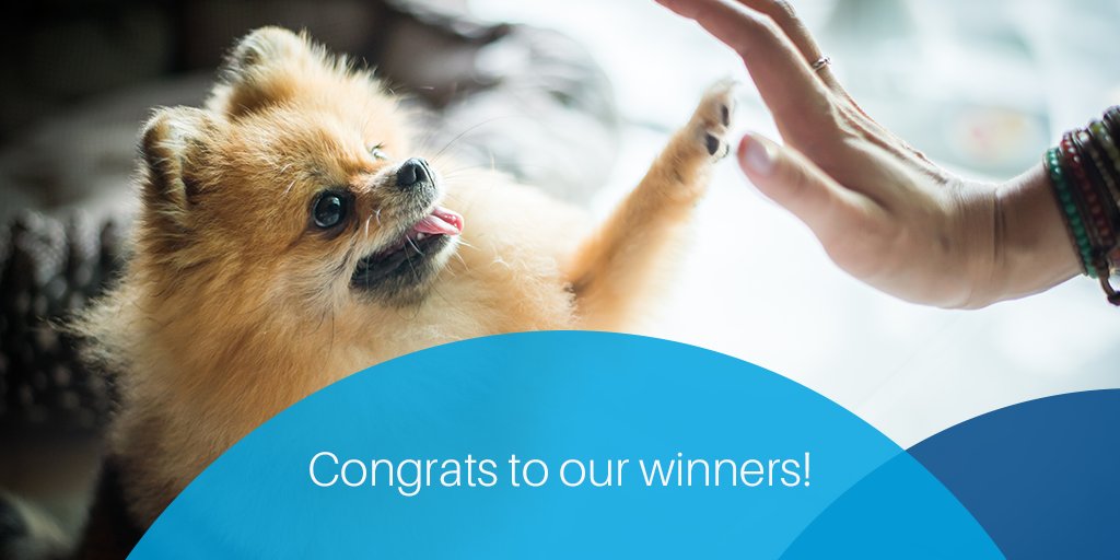 AlliantCU's tweet photo. Congrats to Stephen P., Martha E. and Eric E., the winners of Alliant’s refer a friend contest! 
(Do you think Alliant is awesome? It’s easy to tell your friends about us: https://t.co/r8nq3Aa3tZ) https://t.co/41ISKjRQvX