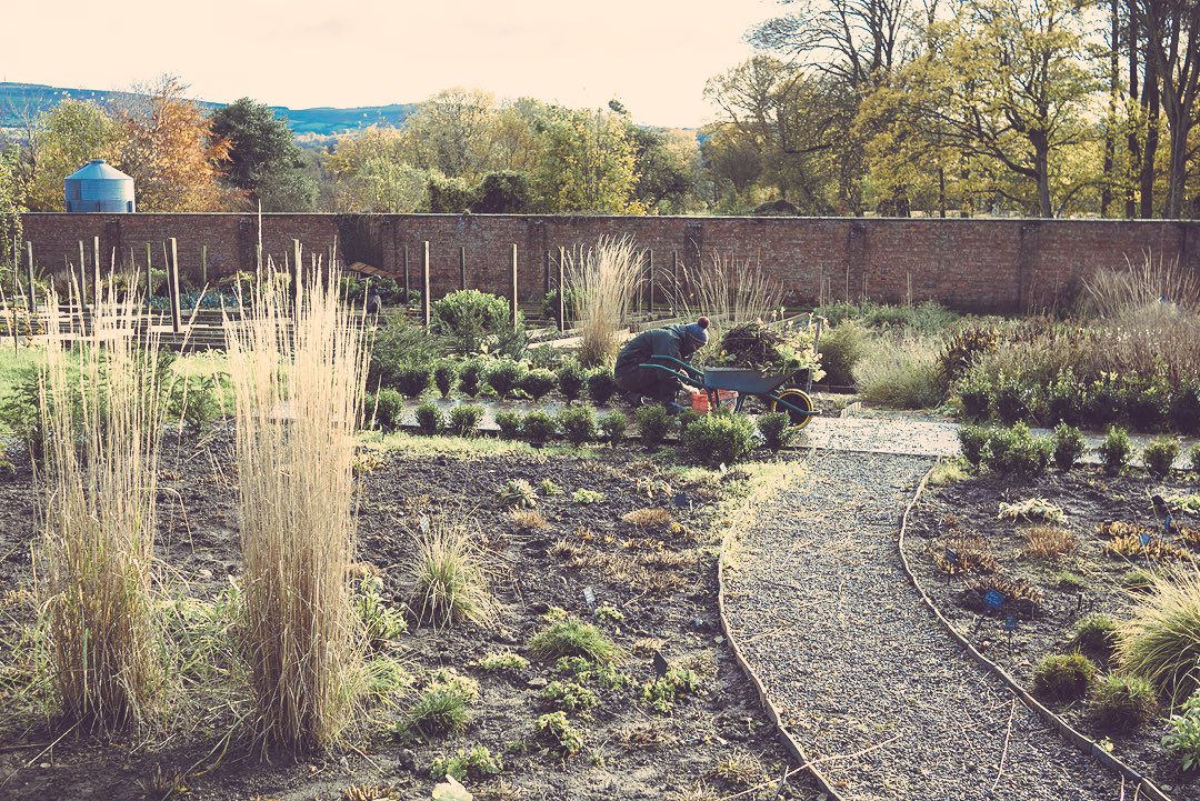 wgviolas's tweet photo. Morning in the sunshine, putting the garden to sleep, planting bulbs and dreaming of spring. https://t.co/dQy90TFhSI