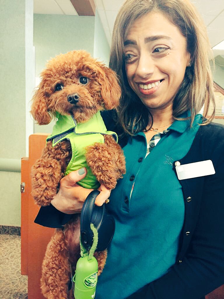 Even our special guests love green Friday’s 😊 @MauroManzi_TD @SilviaL_TD <a href="/JuliaKelly_TD/">Julia</a>