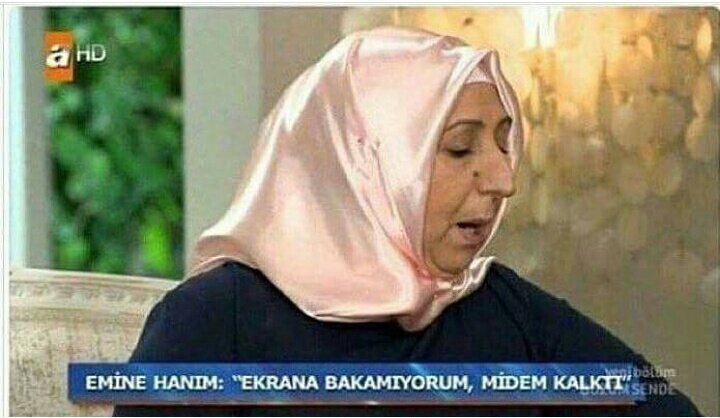 Vize notlarıma bakarken ben