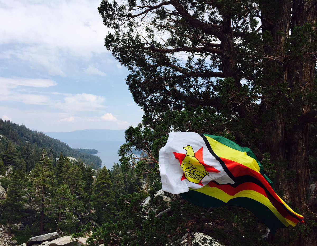 VaVALVoom's tweet photo. To show solidarity with the Zimbabweans marching tomorrow in Harare and Bulawayo, there will be similar gatherings in cities across the world - LONDON 11am Saturday 18 Nov at the Zimbabwe embassy then on to Trafalgar Square - please spread the word! #Zimbabwe #Freshstart #peace https://t.co/N4NYYdg8NS