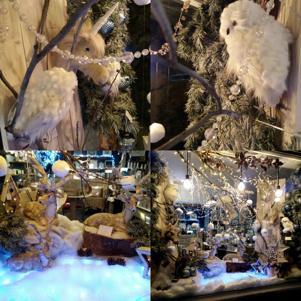 Willow & Gray tweet media