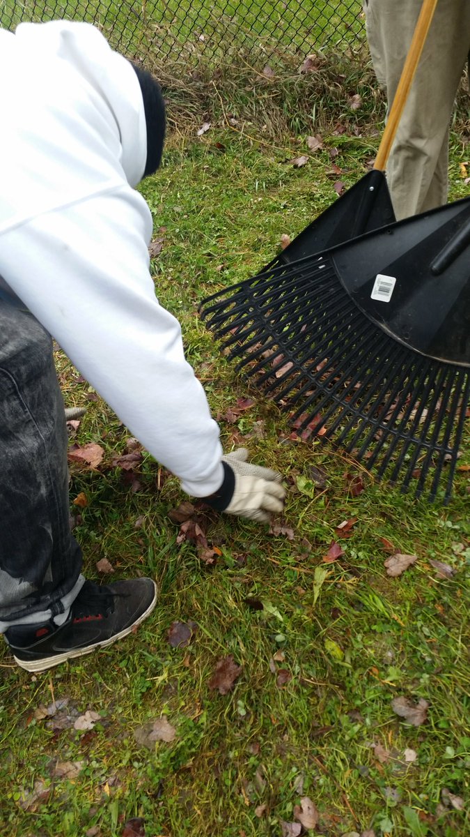 JNSS_EcoSchool's tweet photo. #RakingFallLeaves https://t.co/ERh6Purrkp