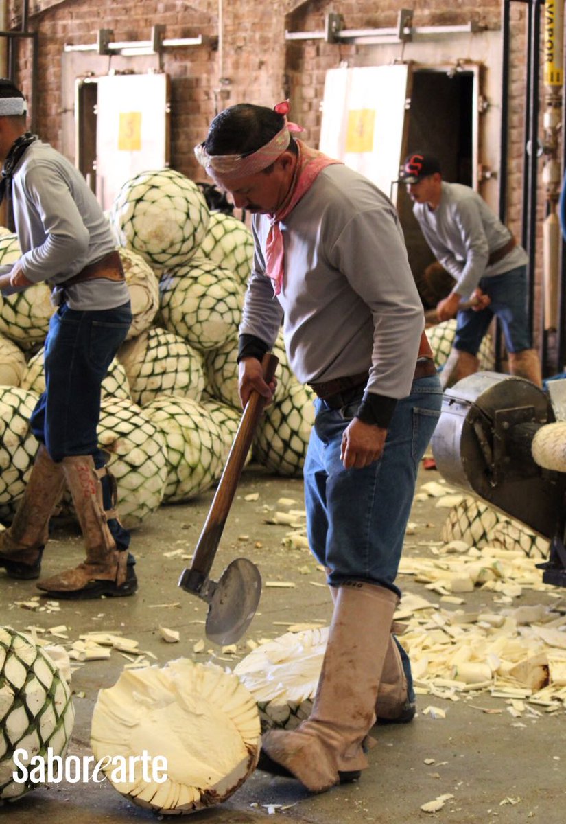 saborearte's tweet photo. Conocimos el proceso de elaboración de tequila @patron, que combina la excelencia del proceso artesanal y nuevas tecnologías #simpleperfect https://t.co/AIhcy2w5xH