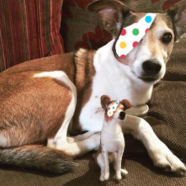 "Paws up if you're tuning into Children in Need like me and my little friend!"

We think it's such an amazing cause that for every like or retweet we receive for this photo we will make a donation to #ChildrenInNeed 🐶💰🐶

#CIN2017 #childreninneed2017 #Pudsey