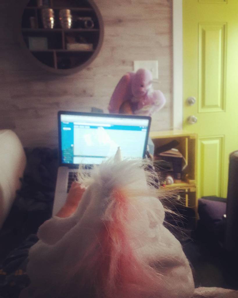 ElRefugito's tweet photo. Just a unicorn wearing unicorn slippers while the snowstorm rolls in.... #snowday #unicornpicnic #tinyhousenation https://t.co/Y24xAYWS3H https://t.co/zNmdAGXrAQ