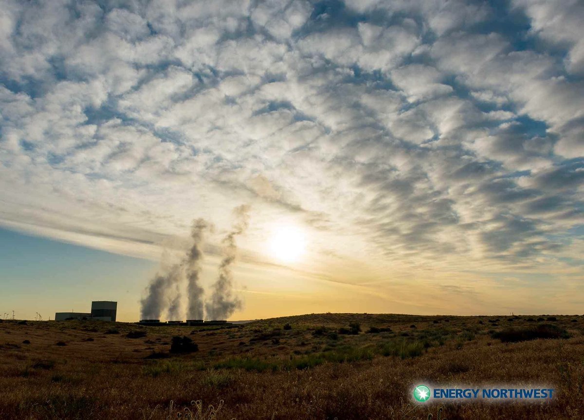 The <a href="/WPUDA/">WPUDA</a> board just passed a resolution supporting Columbia Generating Station’s operation through its lifecycle. A thumbs-up for carbon-free, cost-effective power.