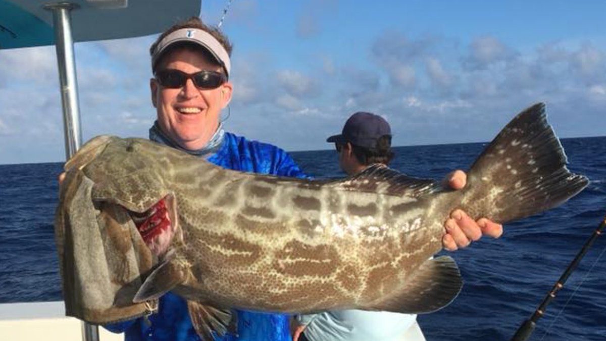 NewLatt Sportfishing tweet media