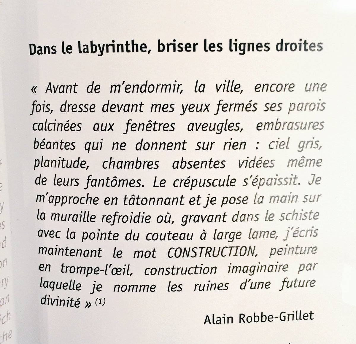 DrawingLabParis's tweet photo. Notre #VendrediLecture dans l’univers de Cité-Fantôme, à travers le catalogue d’exposition.
#piarondéfabiensaleil #léabismuth #citefantome #drawinglab #alainrobbegrillet https://t.co/R0QCfu5XoJ