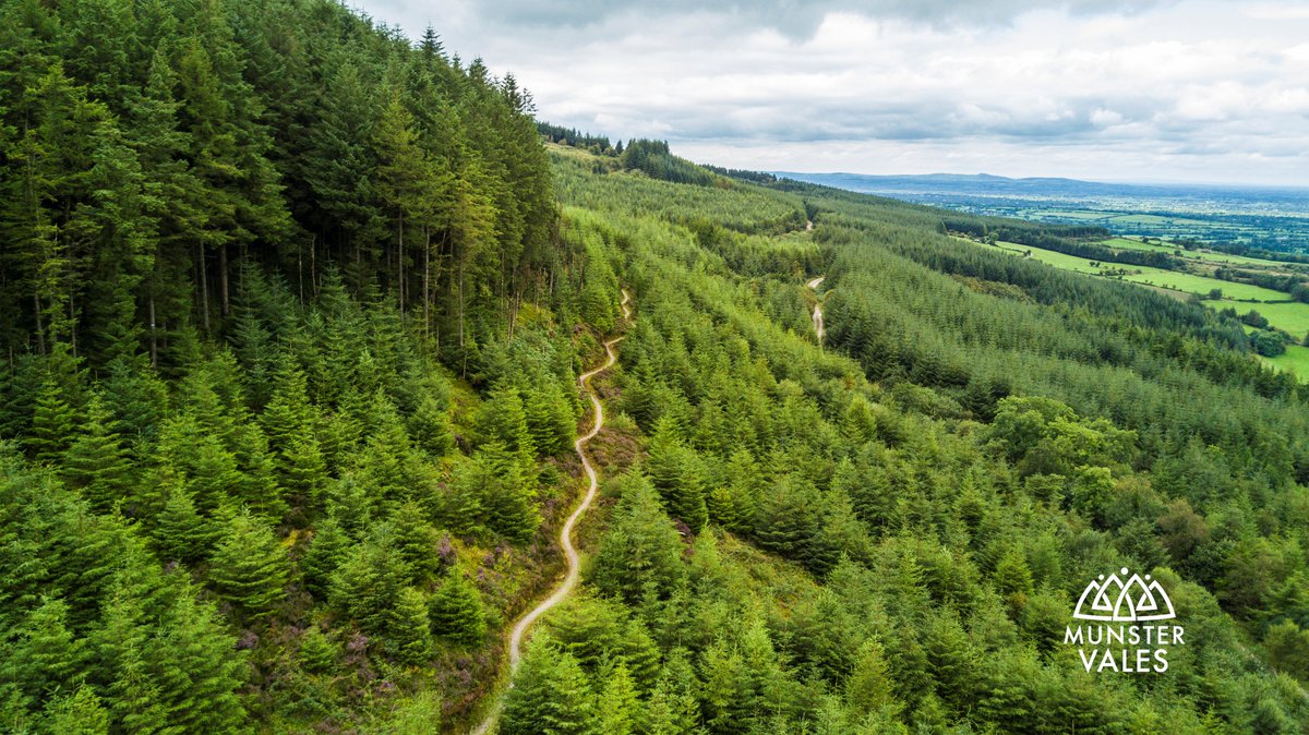 ballyhoura mountain bike trails