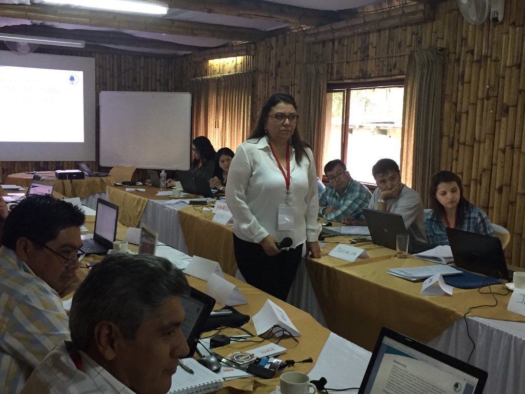 FEDAPAL's tweet image. Quinto día del curso internacional #AuditorLider #RSPO inicia con trabajo participativo de estudiantes @FEDAPAL @aexpalmaec @RSPOtweets @proforest @AgriculturaEc @BellaSosa14