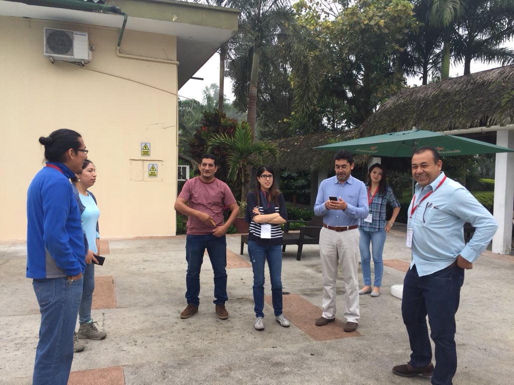 FEDAPAL's tweet image. Quinto día del curso internacional #AuditorLider #RSPO inicia con trabajo participativo de estudiantes @FEDAPAL @aexpalmaec @RSPOtweets @proforest @AgriculturaEc @BellaSosa14