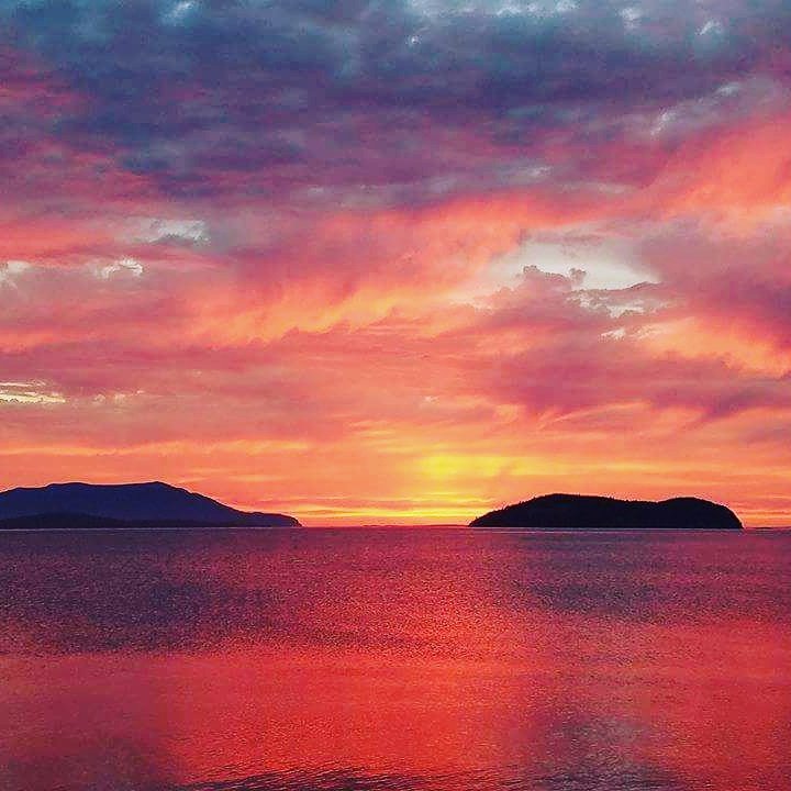 CampFireSamish's tweet photo. Siesta Work Party Tomorrow 10-4.  Come help close Camp Kirby. #CampKirby #campfiresamish https://t.co/1H3tyQdZyi