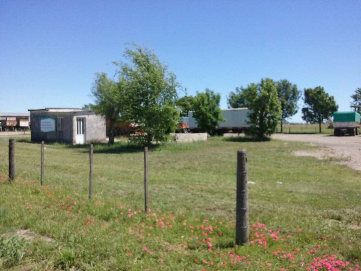 SarmientoComuna's tweet photo. NUEVO PREDIO COMUNAL
La Comuna Local y su Presidente Horacio Rubiolo, mendiante gestiones efectuadas con la Cooperativa Agrícola Ganadera Guillermo Lehmann, ha adquirido el predio de la ex báscula sobre la Ruta Pcial. Nro. 10. https://t.co/hU6DhOn4NJ