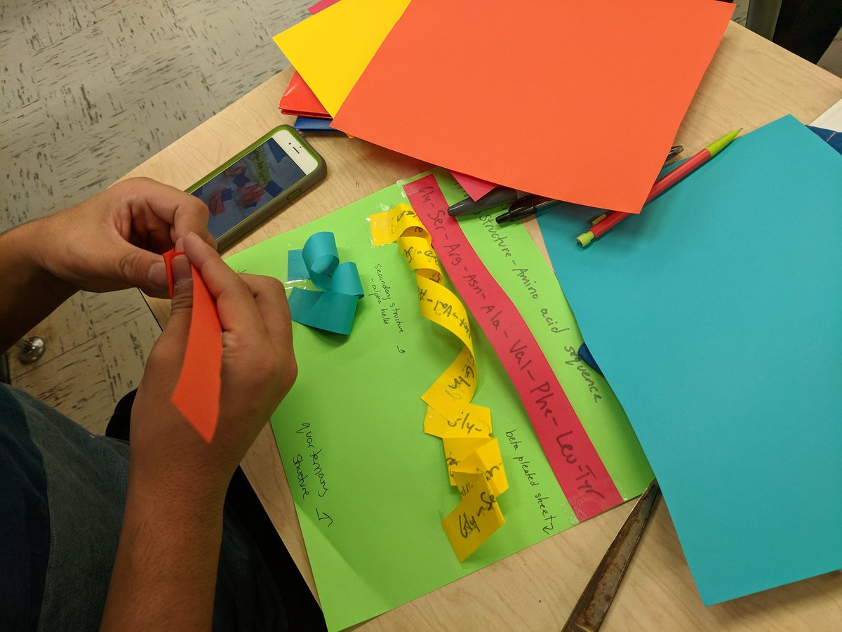 kathyamorton's tweet image. RHS junior #IBbio  modeling the primary, secondary, tertiary and quarternary structures of proteins. #Topic2.4