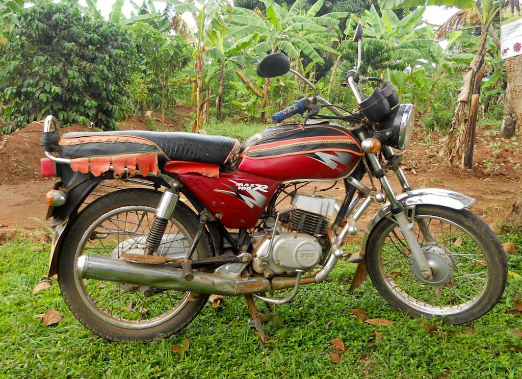Snake attacks and kills brothers on a motorbike in Malindi bit.ly/2iqHosS ^MK
