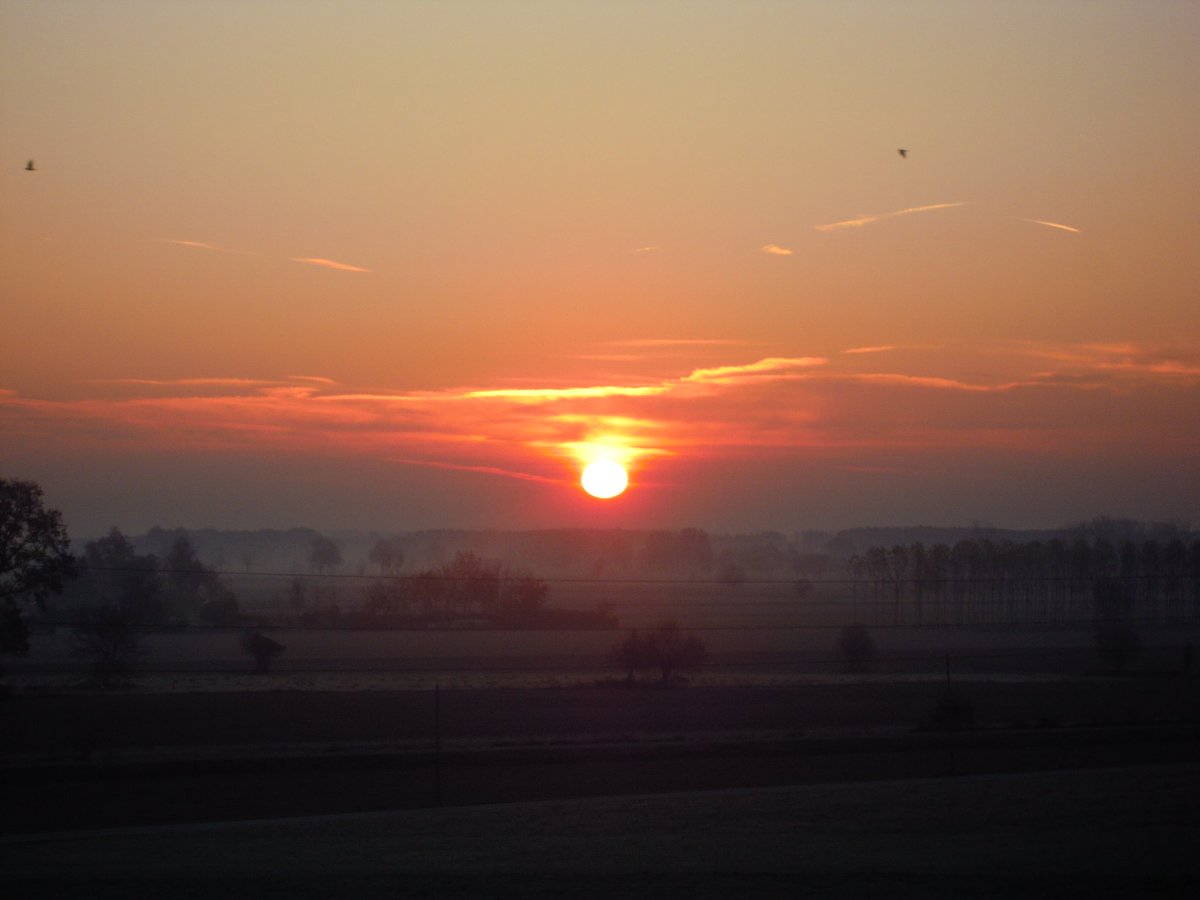 DanielaLoBianco's tweet photo. L'alba di stamattina era troppo bella per non immortalarla in una foto! #alba #sole #solerosso #cielo #cielorosso #paesaggio #dawn #sky #red #landscape #nofilter https://t.co/U22RBrWDG3