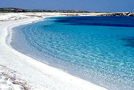 Paolo Bruschi tweet media