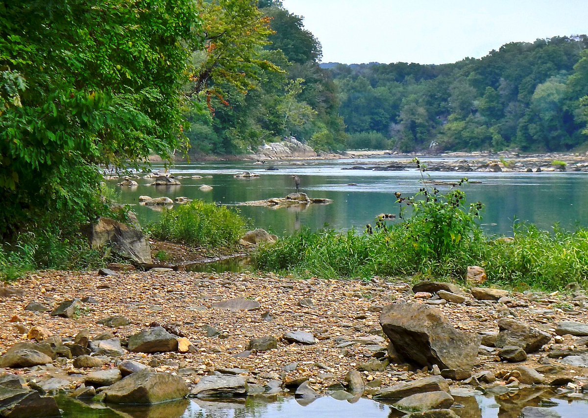 Renee Sklarew tweet media