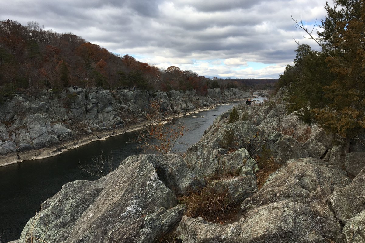 Renee Sklarew tweet media