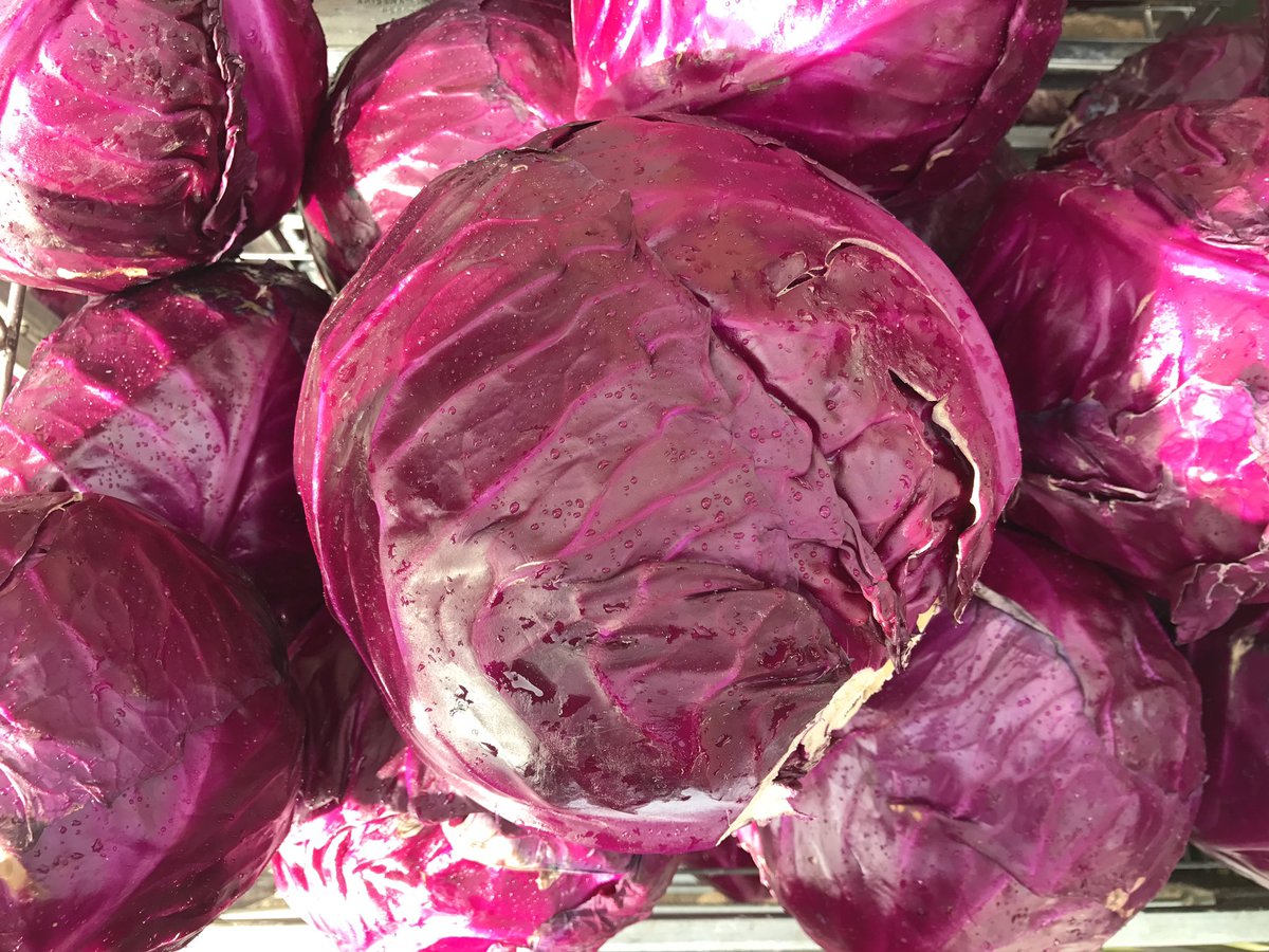 Beautiful Baxters Red Cabbage.
#colourful #crunchy #fullof flavour.