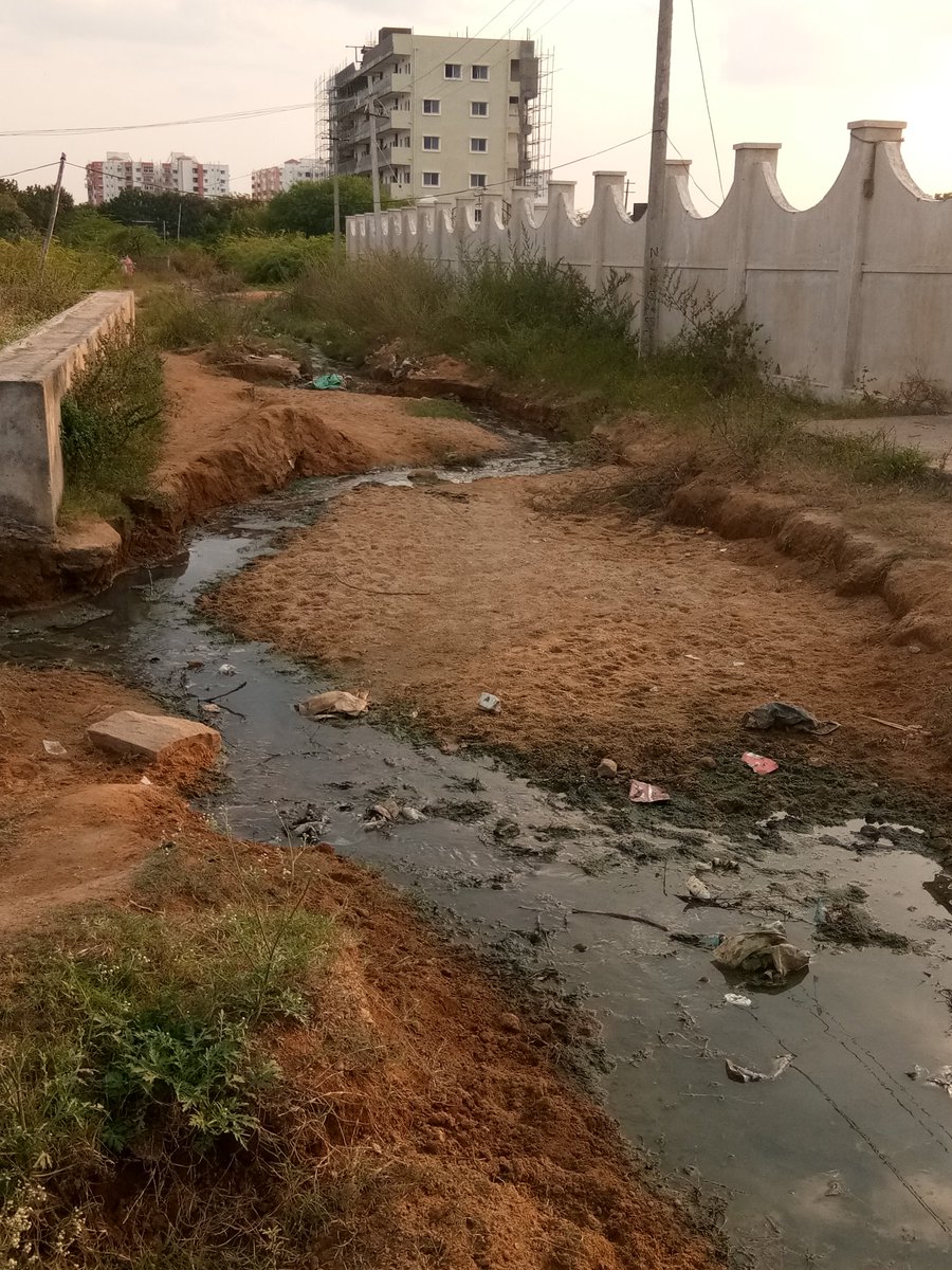JamesonBenaiah's tweet photo. @GHMCOnline we are lossing soil day by day,  drainage is left out and lot of pigs. We have no roads we are not able to walk I. This place. Ranga reddy KAPRA vampuguda.  Land mark : Opp. VIP godown  vampuguda.  My number 8500932551 https://t.co/H5vMRrjPGD