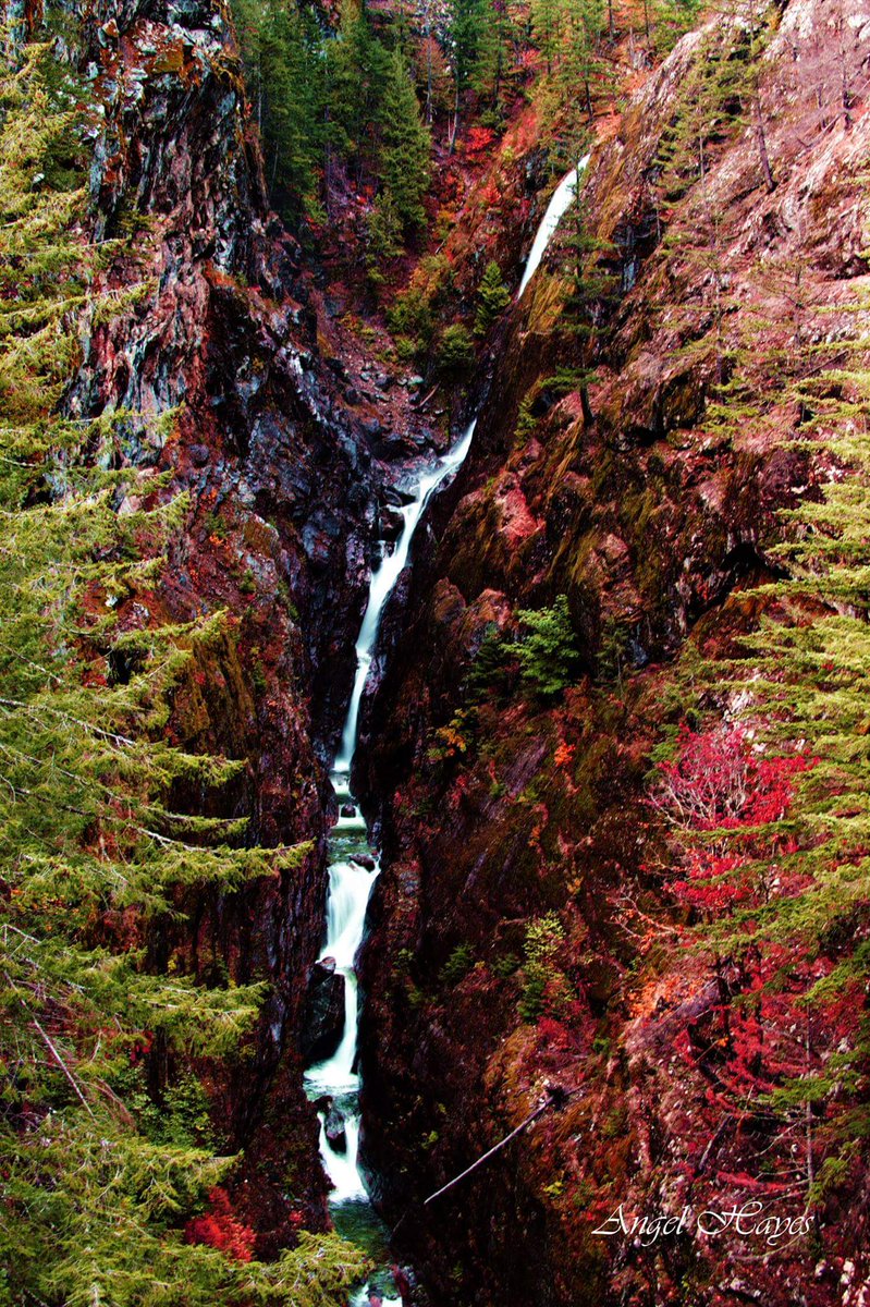 AngelHayesPhoto's tweet photo. #waterfall #nature #landscape #photography #adventure #naturelovers #wanderlust #travelphotography #picoftheday #naturephotography #hiking #hikingadventures #chasingwaterfalls #naturewaterfalls #waterfalls #landscapephotography #beautifuldestinations #photographer #longexposure https://t.co/KhwwyHbBCI