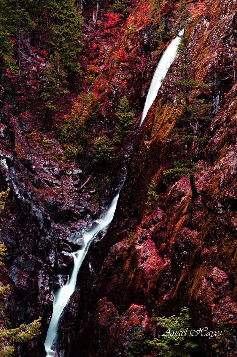 AngelHayesPhoto's tweet photo. #waterfall #nature #landscape #beautiful #photography #naturelovers #wanderlust #travelphotography #photooftheday #naturephotography #hiking #hikingadventures #chasingwaterfalls #naturewaterfalls #waterfalls #landscapephotography #beautifuldestinations #photographer #longexposure https://t.co/F1JrLORcYC