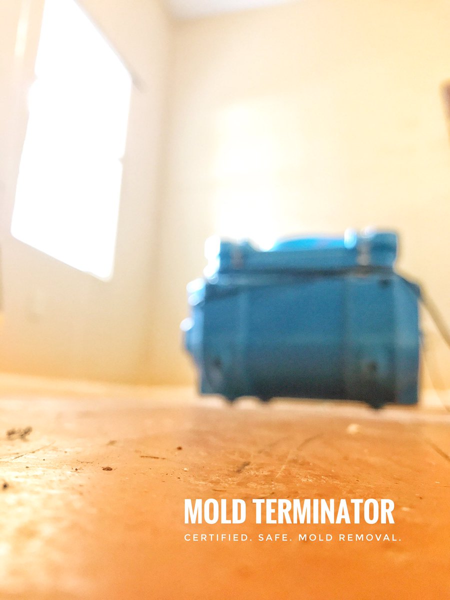 MoldTerminator's tweet photo. Mold Terminator - Certified. Safe. Mold Removal.
We give free estimates!
Call us at 901-877-8855
#moldremoval #mold #901memphis https://t.co/yNQFLBkQsu