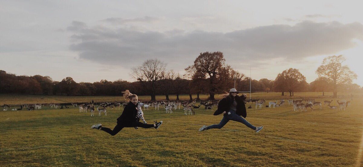 RheaPage01's tweet photo. #CollegeCupFroebel 
Wild Ones🦓🦓🦓 https://t.co/Ci0Gseb7xh