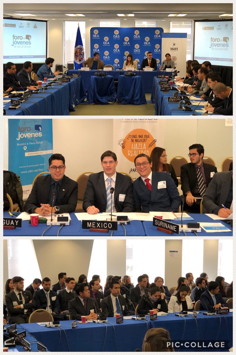 AlexandreKojeve's tweet photo. Young Mexican Professionals from @TWCInternships @fedeling participate at the Youth Forum of the Americas @YABTs @OAS_official #GovernorsProgram #ExperienceTransforms #TWCFall17 #JóvenesEnLaCumbre https://t.co/cJTWM3YTqr