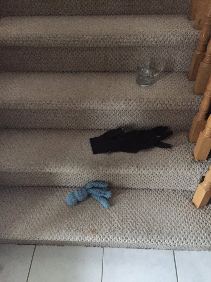 pvandubs's tweet image. Pets, toys, objects... are trip and fall hazards! #cleanuptheclutter #PreventFalls2017 #safecitywindsor