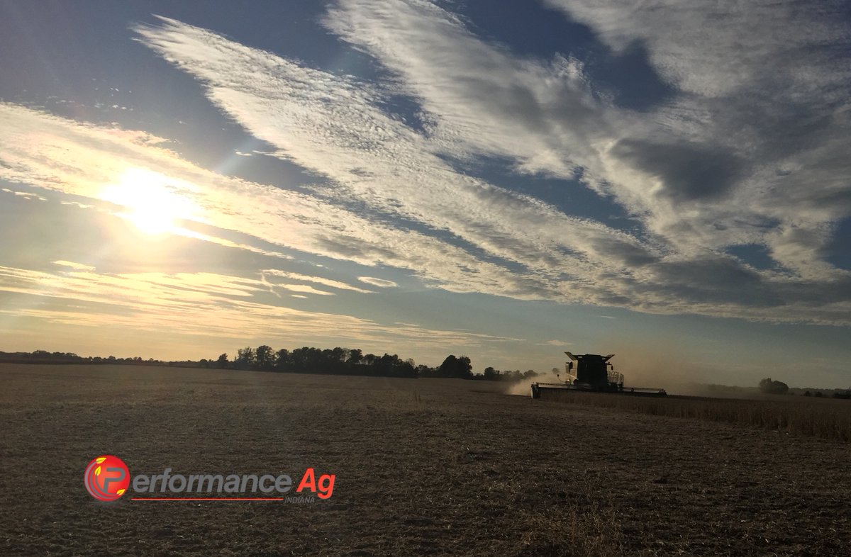 performanceagin's tweet photo. Don't let the ☀️ set today before you lock in your Channel Seed order for #Plant18, C A L L 📱 765-325-5580  #EliteSeed #ValueBeyondTheBag #SeedsmanshipAtWork https://t.co/0WlK3g1iRe