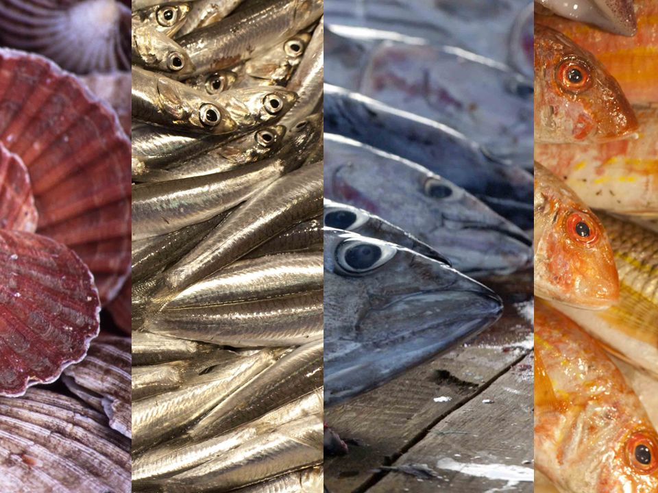 How will #climatechange effect British consumption of #seafood? If you are a British resident who likes seafood, please fill out this survey for my MSc student Olivia Healy york.qualtrics.com/jfe/form/SV_6f… Please RT widely! Have a great weekend :-)