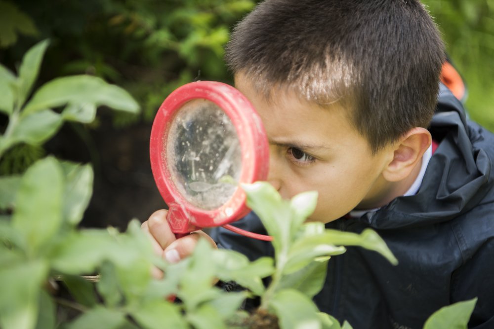 OutdoorClassDay's tweet photo. #Job opportunity 
We are looking for #GlobalProjectManager to help us create the biggest #OutdoorClassroomDay EVER! If you think you have what it takes, apply before 10 December: https://t.co/6IODSLEMdT  Please share
#socentjobs #job #charityjob https://t.co/jmEFSTaVmh
