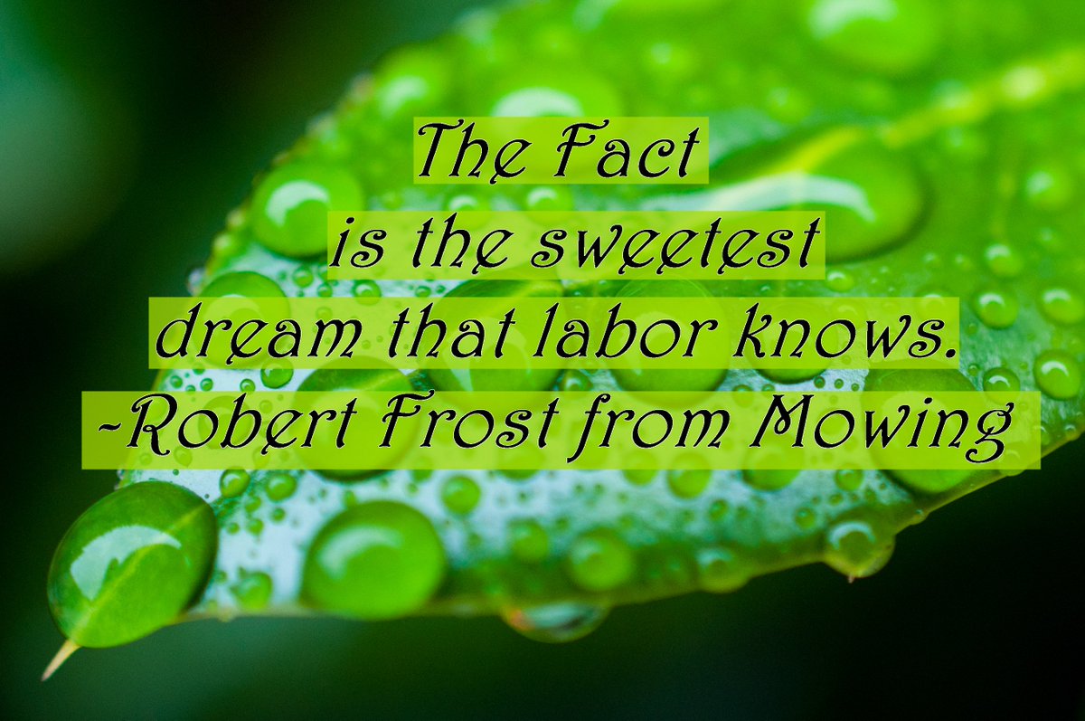 BryanCollegeAGS's tweet photo. After a week of hard work, we'll leave you with a snippet of Robert Frost's The Mowing https://t.co/DVfsIJu462