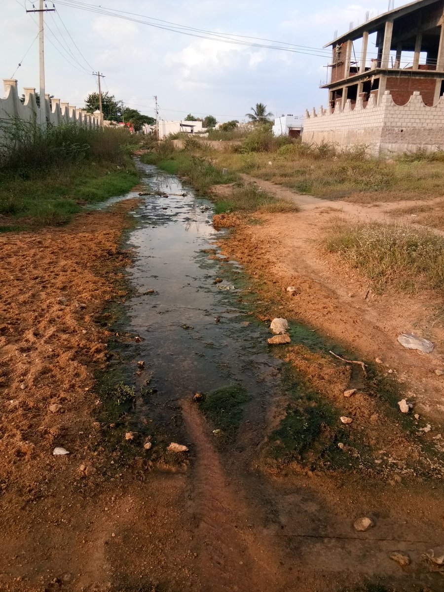 JamesonBenaiah's tweet photo. @zcwz_ghmc We are lossing our soil mam. Drainage is left out,  no road for us to walk. We are facing lot of problems. Ranga reddy KAPRA vampuguda. Land mark : Opp. VIP godown . My number 8500932551 https://t.co/jeo5OmTgTM