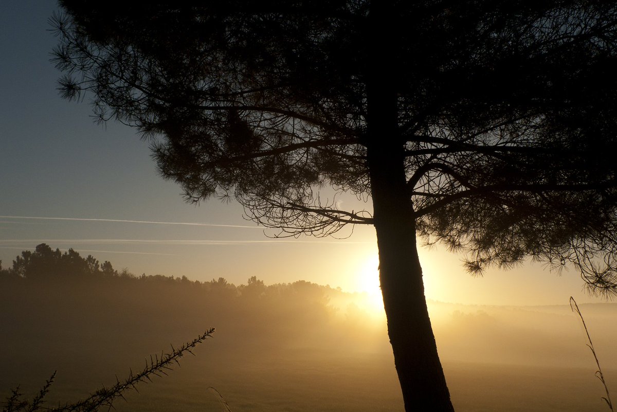 caminperegrinos's tweet photo. "Nunca hubo una noche ni un problema que pudiera derrotar al amanecer o la esperanza". Bernard Williams. #caminodeinvierno https://t.co/boi0yMH2Md