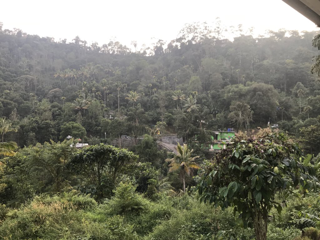 demonrockhopper's tweet photo. A day of coconuts, monkey dodging and a beautiful hillside cottage to rest https://t.co/AoCRYFzod7