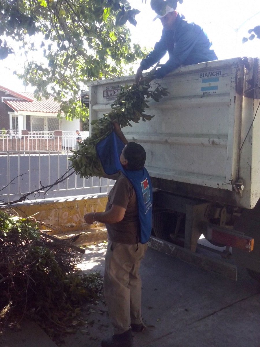 gastonlassalle's tweet photo. #LomasDeZamora Corte de césped, Barrido, Limpieza y Recolección en #LomasEste #LomasEnMovimiento #SecretaríaDescentralizada @MunicipioLdeZ @minsaurralde @JuanStigliano https://t.co/CNDJxea4mO