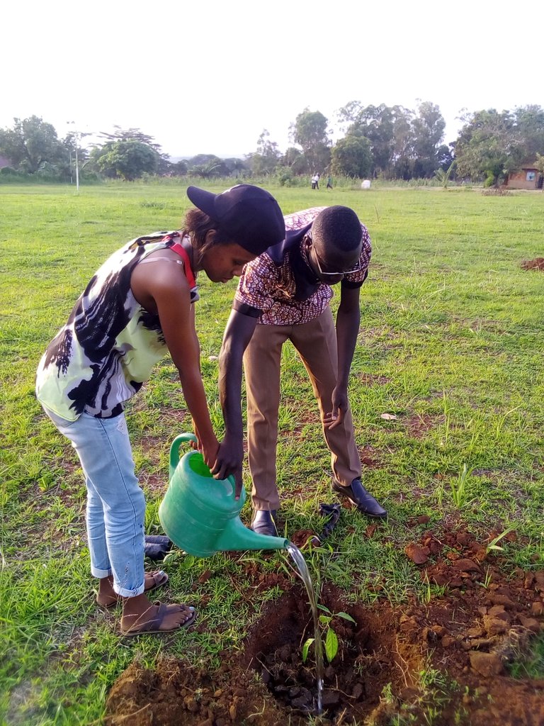 RotaractUnik's tweet photo. Club President Was today joined by former miss Unik Vicky in tree planting. We are proud to have partnership with the Miss and Mr unik team https://t.co/QBJN5INSt3