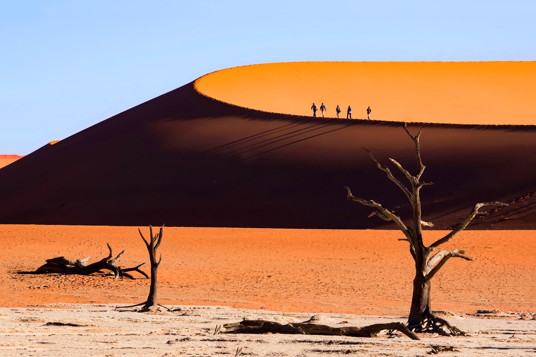 Le SAHARA, le plus grand désert du monde... - Page 2 DO2T16LXkAEWwrB