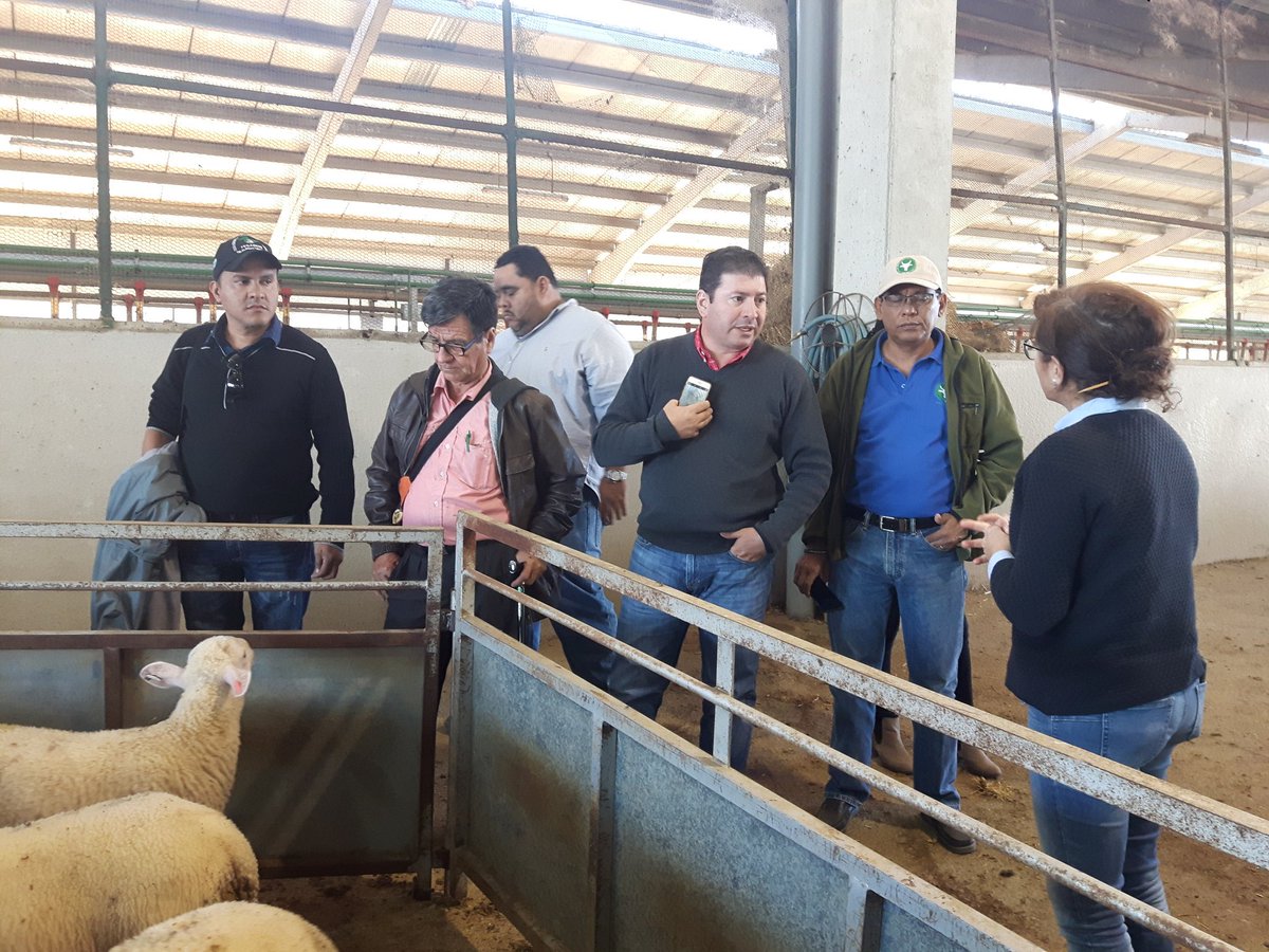 Ninoskagh's tweet photo. Servicio integral al socio clave del éxito cooperativo, gracias @Covap por compartir experiencias @FaganicNica @verdeamazonico #FEGABENI @Agriterra @acodea_ https://t.co/Y74FgTP8hm