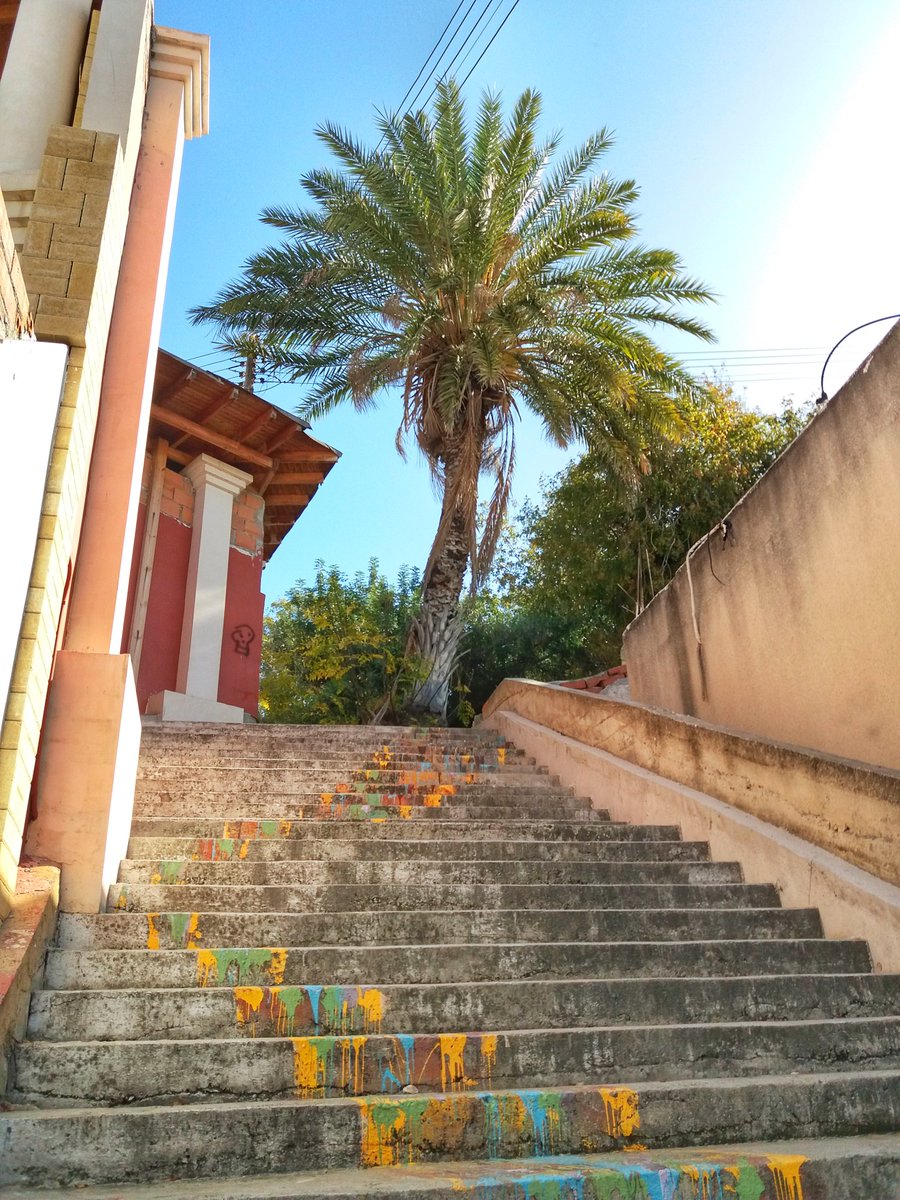 Yvonne Kerrigan tweet media