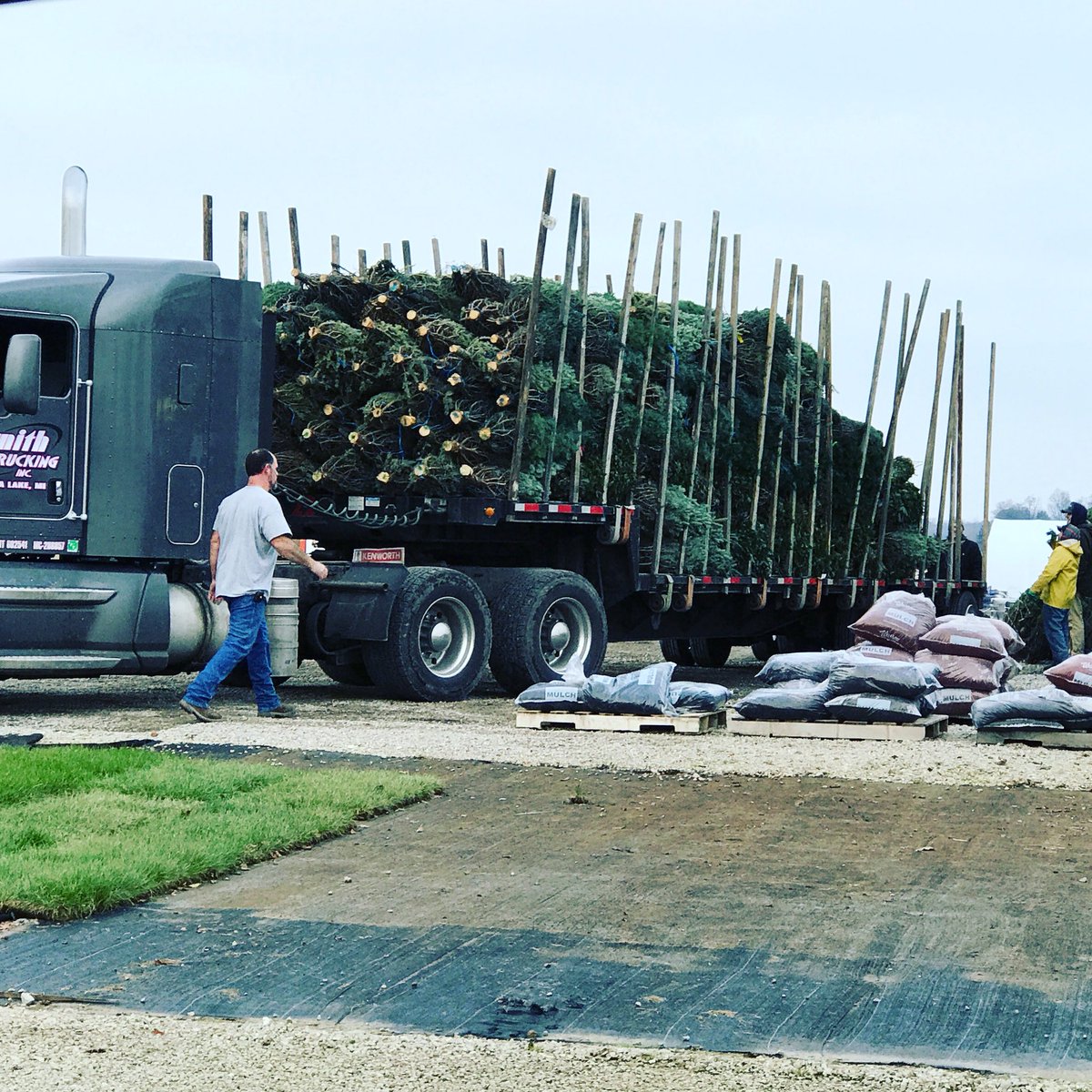 Trees have arrived for Secret Families Christmas Charity! We’re proud to be a part of this great local tradition! #growwithus