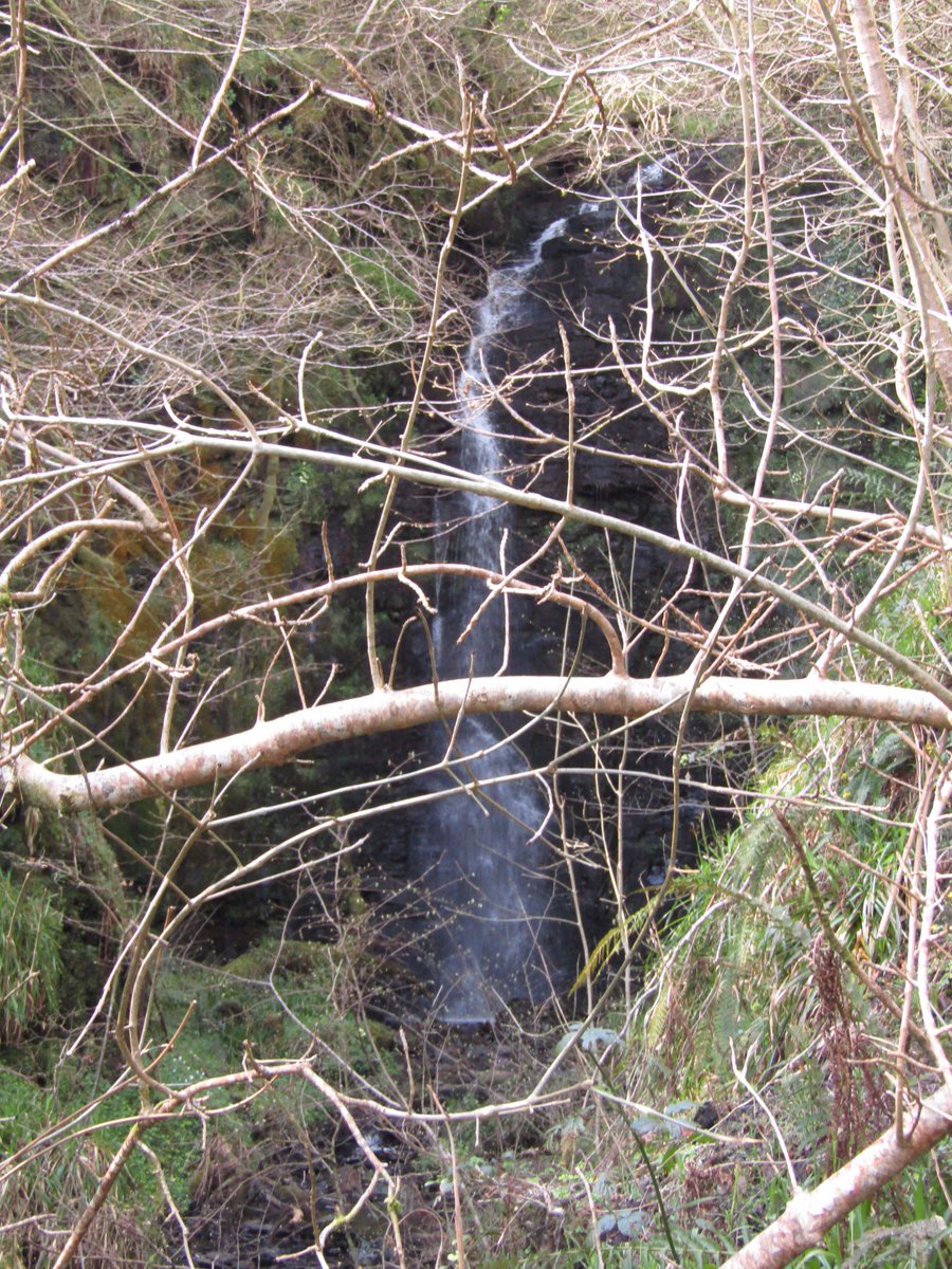 LeitrimTNetwork's tweet photo. Walking in Leitrim, Alteen Waterfall walk, exhilarating and engulfed in nature. #leitrim #waterfallwalks #inishmagrath #loughallen https://t.co/84F8y5KdKx