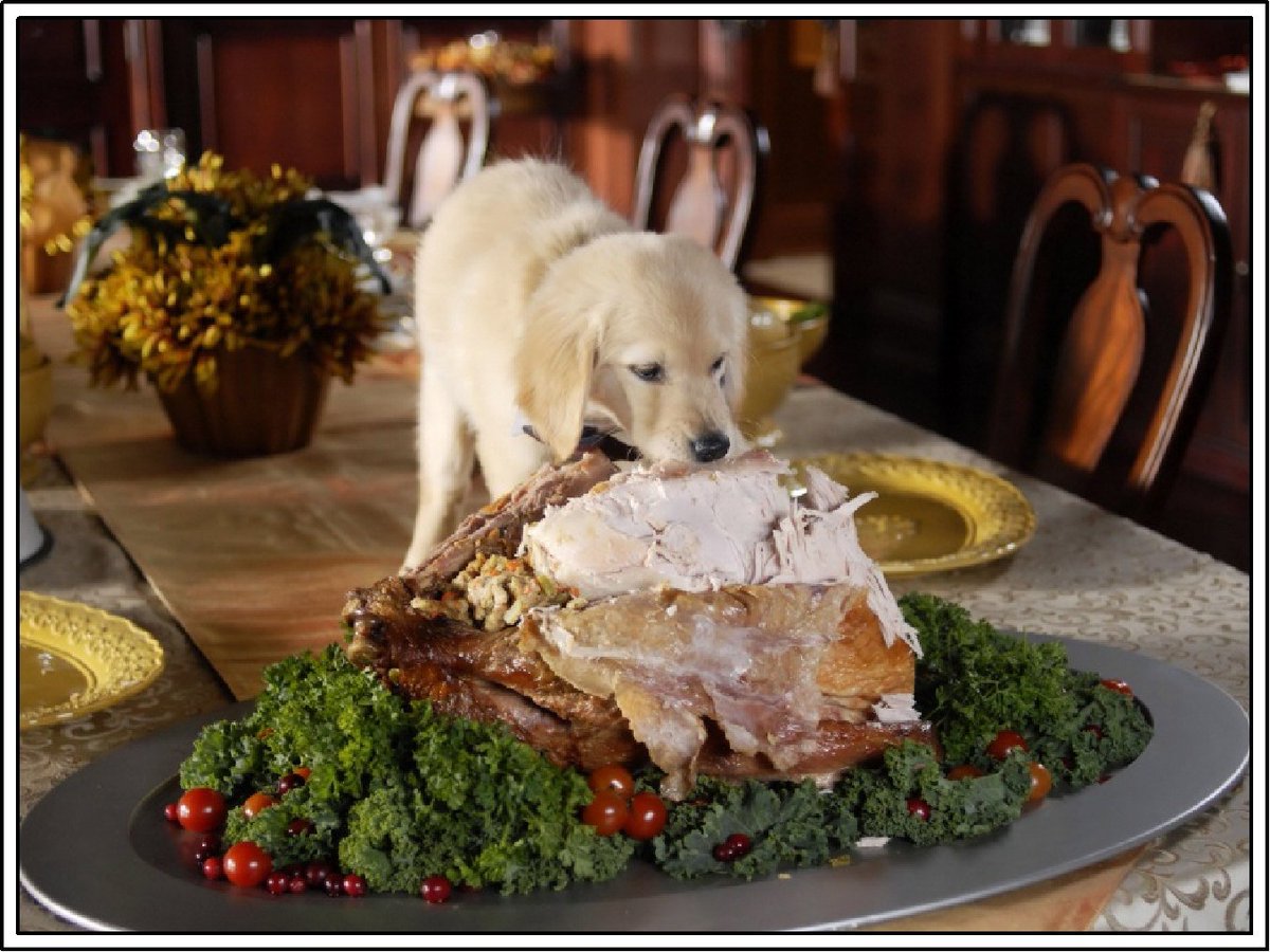 BeausBathHouse's tweet photo. Keep in mind, we will be closed for #Thanksgiving from 11/23 - 11/27! #BeausBathHouse #DentonTX https://t.co/6HHoQjfJ9A