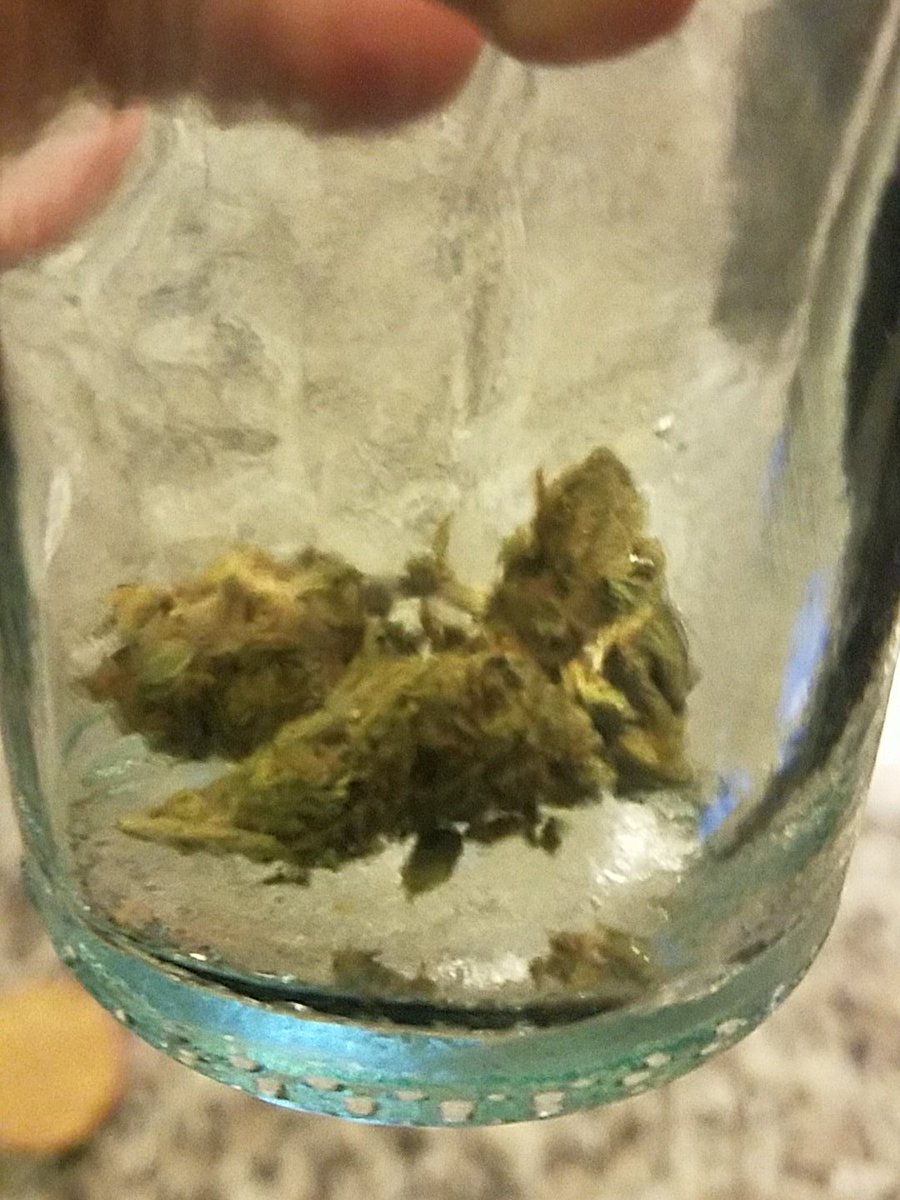 MassCannaBUS's tweet photo. Worst site ever to see no weed or best ever to know a new strain will soon fill the void? https://t.co/PjuEUfVmwg