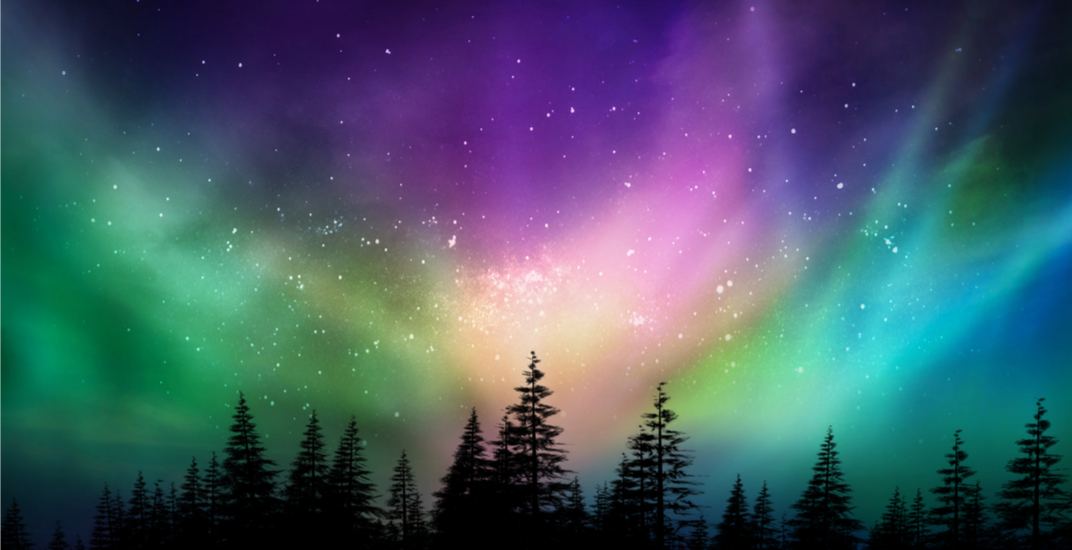 Cruise Canada tweet media