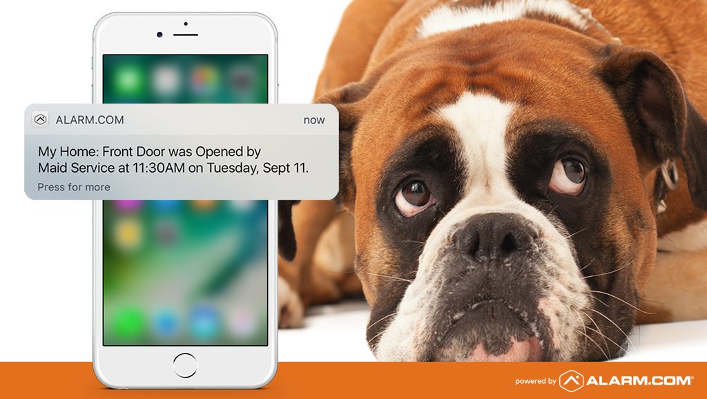 AlarmDotCom's tweet photo. Dog vs. #HomeSecurity Round 1

Your dog alerts you to everyone who steps on the property. #SmartSecurity can discern between a genuine intruder &amp; a harmless visitor, like the mailman.

See who wins this round: https://t.co/EondMVipfp https://t.co/X81k9ZPODu